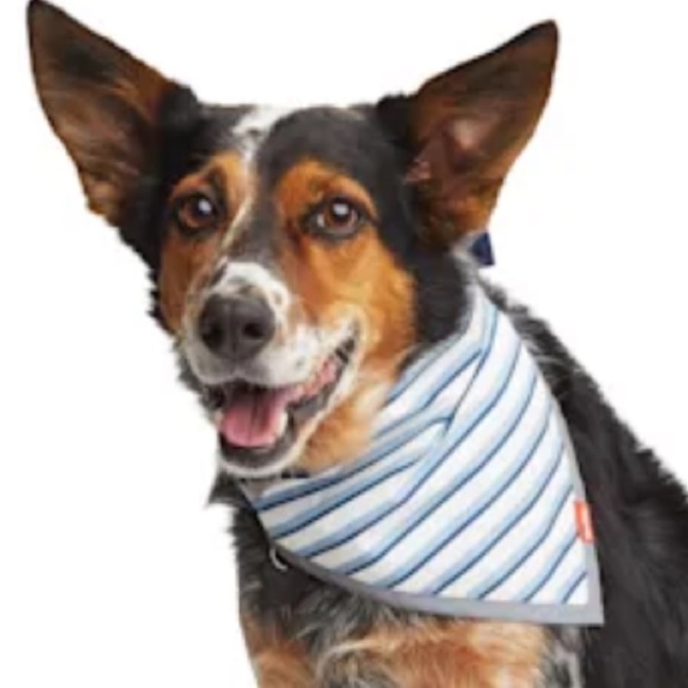 NWT Reddy reversible reflective striped Camo Bandana XS/S